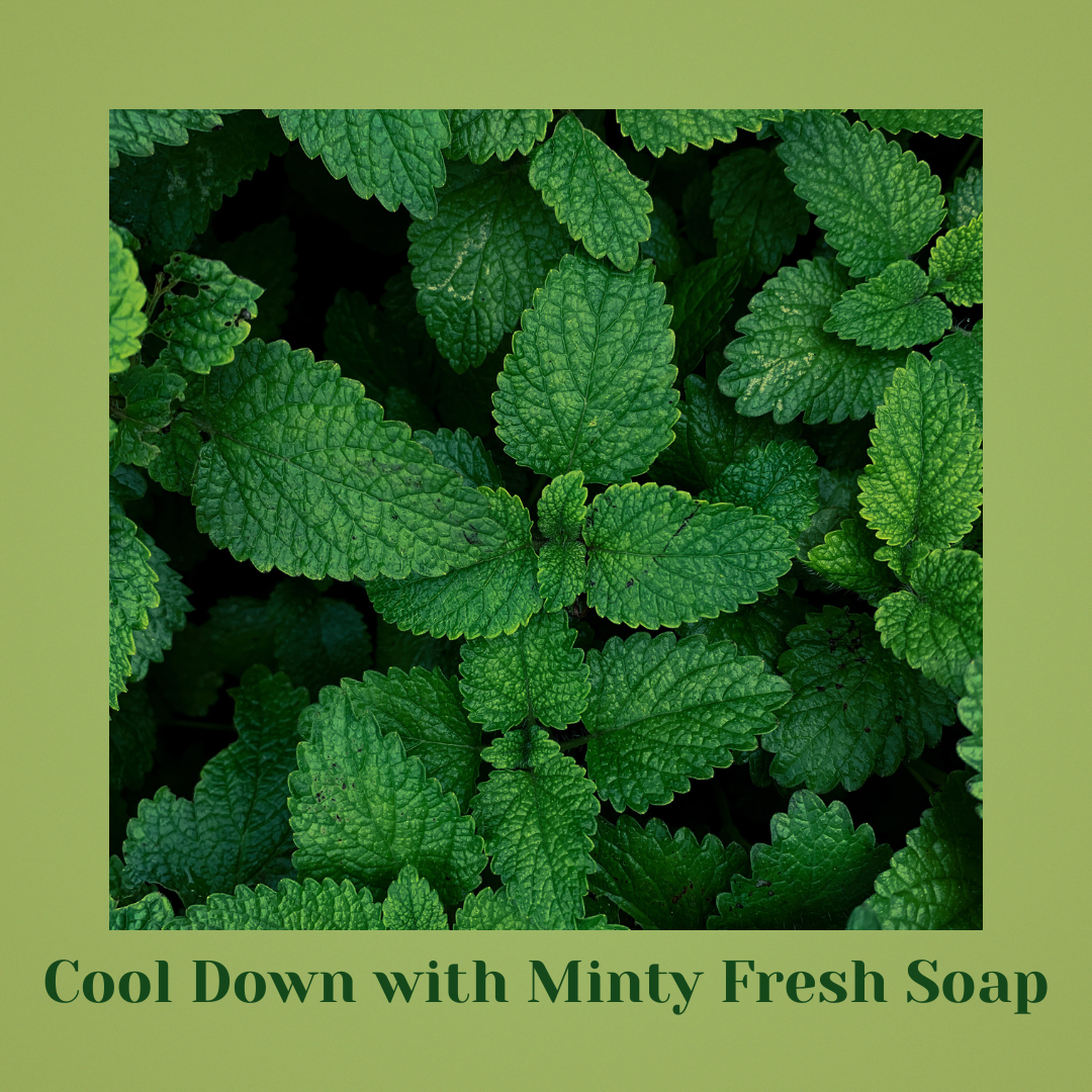 Refreshing Mint - Indulge in Bliss Revitalize & Refressness Senses