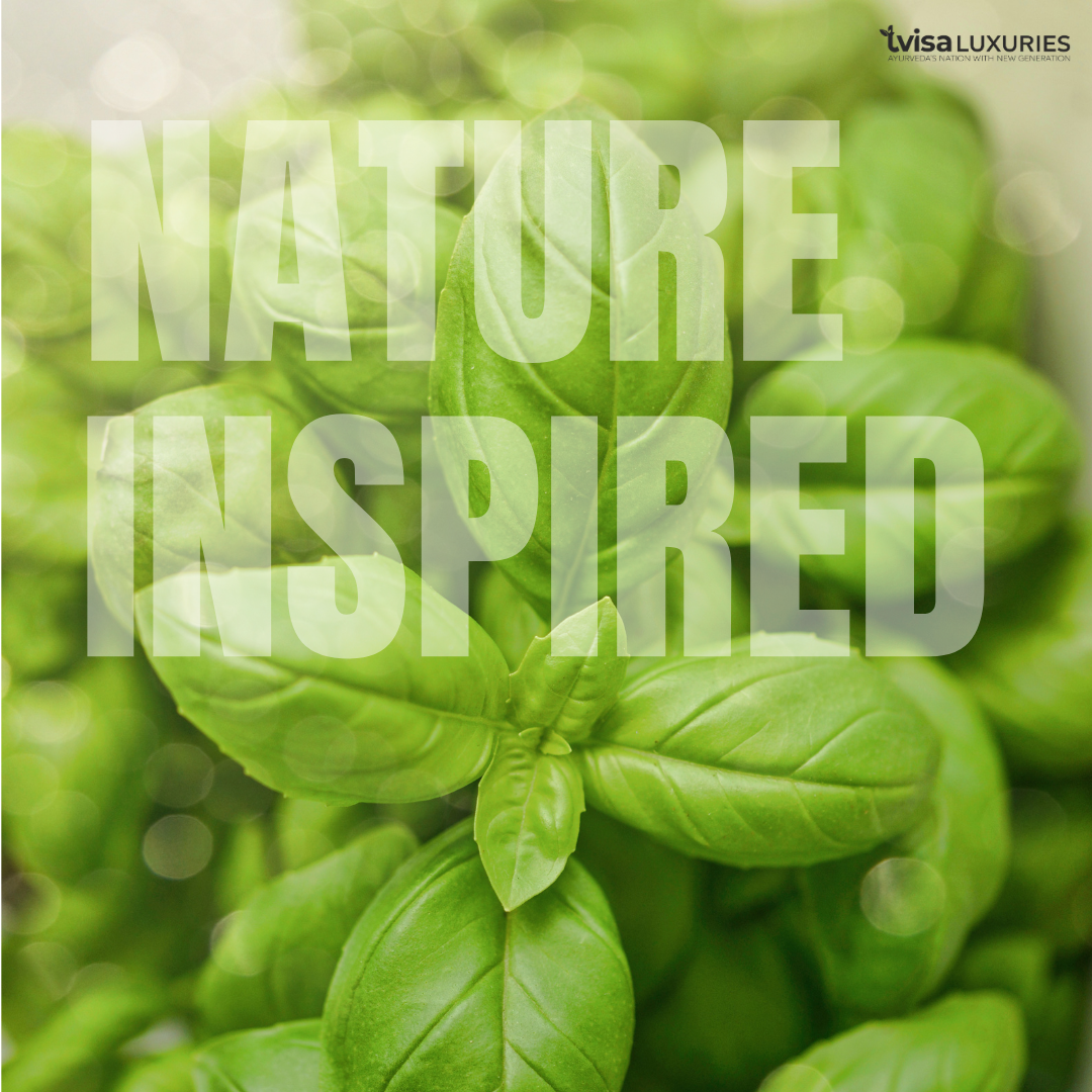 Royal Indulgence – The All-Purpose 5 Soap Box