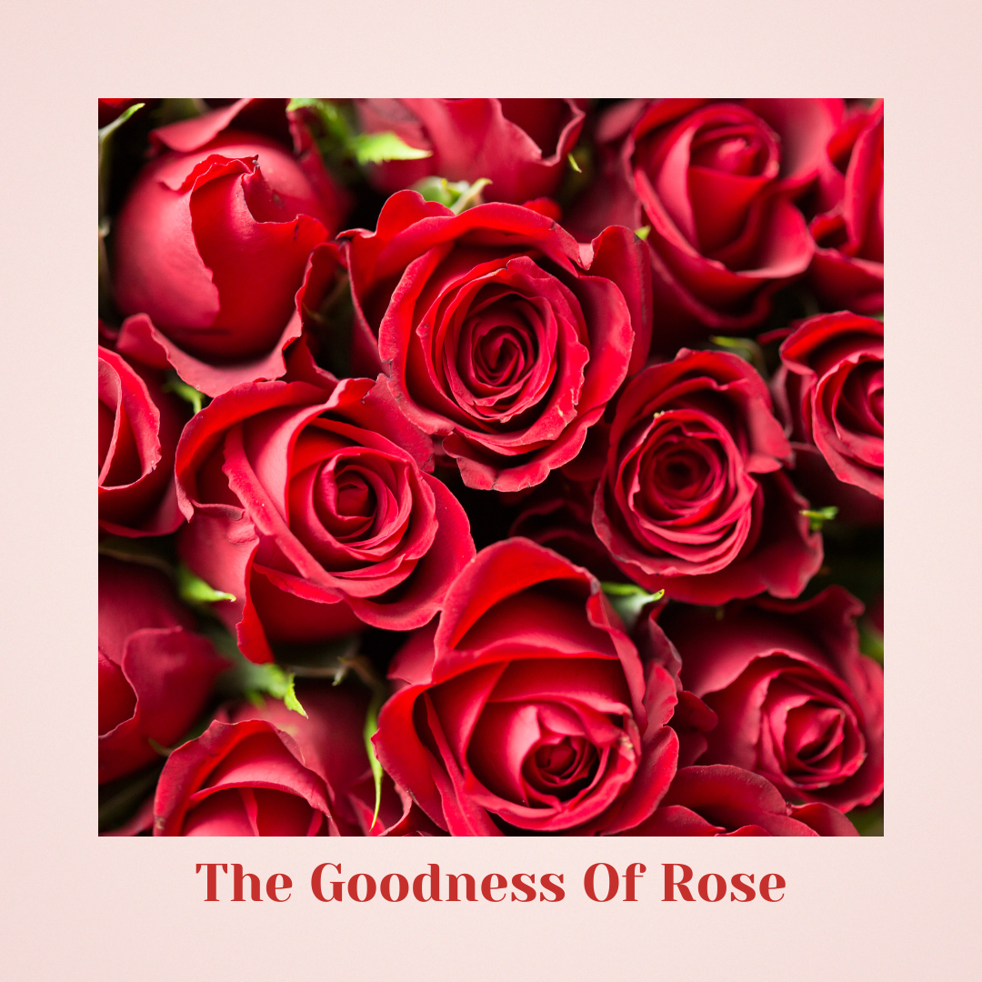 (Pack Of 3) Licorice Luxe - Indulge in the opulent essence of Licorice Luxe