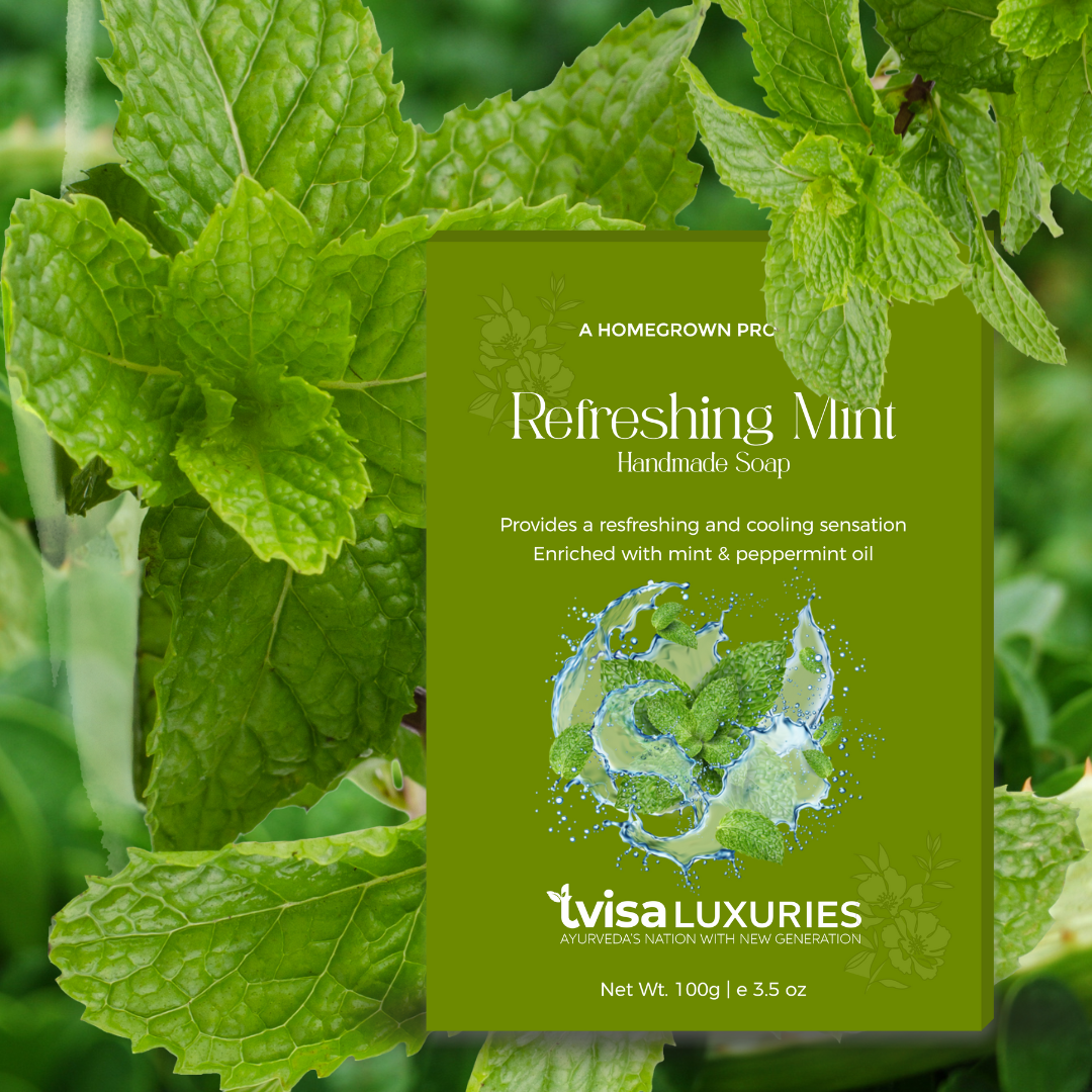 (Pack of 3) Refreshing Mint - Indulge in Bliss Revitalize & Refressness Senses